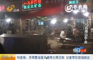 国产烧烤机视频,美味瞬间，健康生活新选择