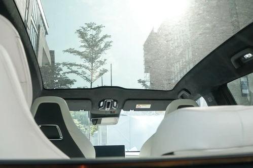 国产车雷人造型视频在线