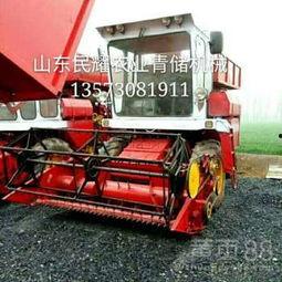 国产青储收割机作业视频,助力农业现代化发展