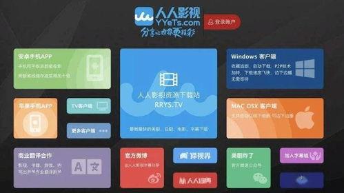 欧美视频一本到国产,从“一本到”到国产生态的演变之路